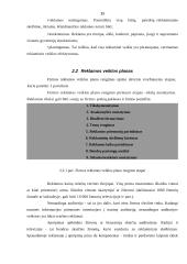 Įmonės įvaizdžio formavimo ypatybės 15 puslapis