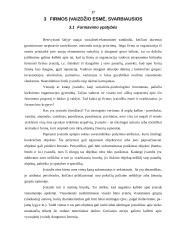 Įmonės įvaizdžio formavimo ypatybės 17 puslapis