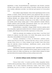 Įmonės įvaizdžio formavimo ypatybės 20 puslapis