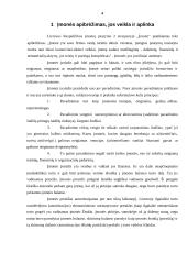 Įmonės įvaizdžio formavimo ypatybės 4 puslapis