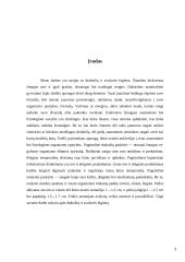 Drabužių ir avalynės higiena 3 puslapis