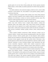 Įmonės logistinės veiklos analizė: UAB "VP Market" 12 puslapis