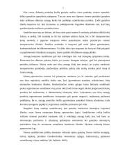 Įmonės logistinės veiklos analizė: UAB "VP Market" 13 puslapis