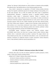 Įmonės logistinės veiklos analizė: UAB "VP Market" 17 puslapis