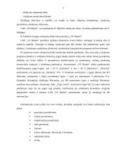 Įmonės logistinės veiklos analizė: UAB "VP Market" 18 puslapis