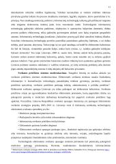 Elektroninės valdžios raida Lietuvoje 10 puslapis