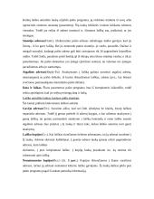 Elektroninio pašto privalumai, programos bei rekvizitai 7 puslapis
