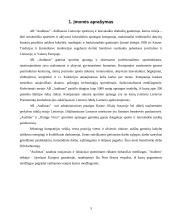 Įmonės marketingo programa: "Audimas" 3 puslapis