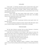 Įmonės marketingo programa: "Audimas" 5 puslapis