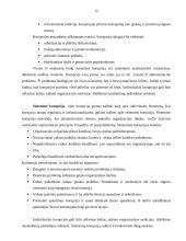 Etika bei etikos problemos viešajame administravime 12 puslapis