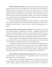 Etika bei etikos problemos viešajame administravime 7 puslapis