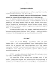 Etika bei etikos problemos viešajame administravime 10 puslapis