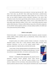 Įmonės marketingo sprendimai: "Red Bull" 6 puslapis
