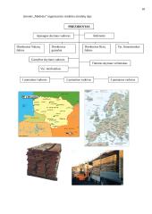 Įmonės marketingo tyrimų projektas: UAB "Medeina" 18 puslapis