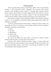 Įmonės marketingo tyrimų projektas: UAB "Medeina" 3 puslapis