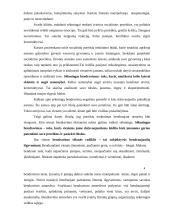 Įmonės darbuotojų sėkmingas bendravimas 4 puslapis