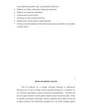 Įmonės darbuotojų sėkmingas bendravimas 5 puslapis