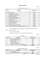Įmonės mokestinė atskaitomybė: UAB "Diena" 7 puslapis
