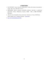 Įmonės mokestinė atskaitomybė: UAB "Diena" 10 puslapis