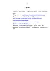 Individuali psichoterapija 11 puslapis
