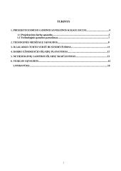 Įmonės organizacijos formavimas 2 puslapis