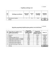 Įmonės organizacijos formavimas 13 puslapis