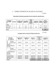 Įmonės organizacijos formavimas 16 puslapis