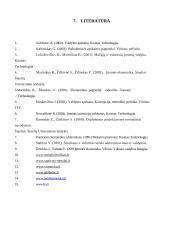 Įmonės organizacijos formavimas 20 puslapis