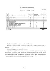 Įmonės organizacijos formavimas 5 puslapis