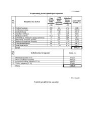 Įmonės organizacijos formavimas 6 puslapis