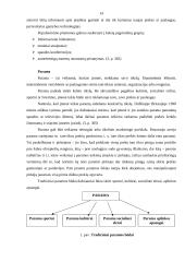 Įmonės palaikomų ryšių su visuomene plėtojimo kryptys: viešbutis "Baltpark" 14 puslapis