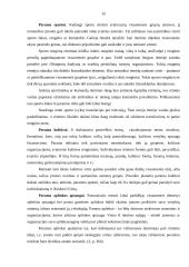 Įmonės palaikomų ryšių su visuomene plėtojimo kryptys: viešbutis "Baltpark" 15 puslapis