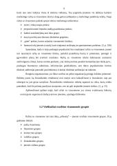 Įmonės palaikomų ryšių su visuomene plėtojimo kryptys: viešbutis "Baltpark" 6 puslapis