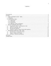 Intelektualinis paveldas: Marxas Weberis ir Freudas 2 puslapis