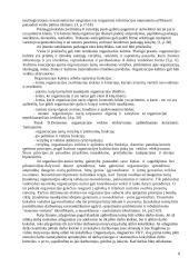 Įmonės paslaugos kokybės įvertinimas, nurodant blogos kokybės priežastis 8 puslapis