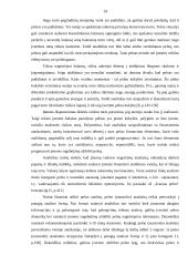 Įmonės pelno analizė: UAB "Jalsė" 14 puslapis