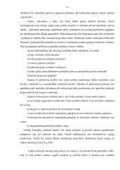 Įmonės pelno analizė: UAB "Jalsė" 17 puslapis