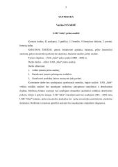 Įmonės pelno analizė: UAB "Jalsė" 3 puslapis