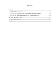 Įmonės pelno analizė: UAB "Jalsė" 5 puslapis