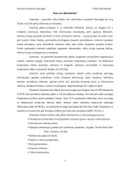 Interneto teikiamos paslaugos 3 puslapis