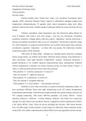 Interneto teikiamos paslaugos 4 puslapis
