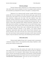 Interneto teikiamos paslaugos 6 puslapis