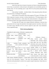 Interneto teikiamos paslaugos 7 puslapis