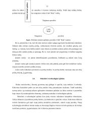 Įmonės rinkodaros makroaplinkos analizė: UAB "Rola" 12 puslapis