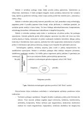 Įmonės rinkodaros makroaplinkos analizė: UAB "Rola" 13 puslapis