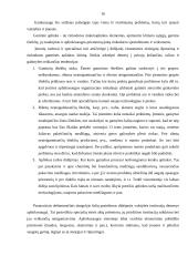 Įmonės rinkodaros makroaplinkos analizė: UAB "Rola" 15 puslapis