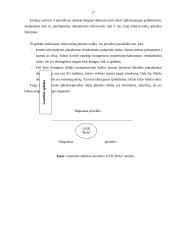 Įmonės rinkodaros makroaplinkos analizė: UAB "Rola" 16 puslapis