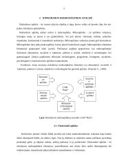 Įmonės rinkodaros makroaplinkos analizė: UAB "Rola" 4 puslapis