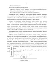 Įmonės rinkodaros makroaplinkos analizė: UAB "Rola" 6 puslapis