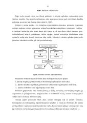 Įmonės rinkodaros makroaplinkos analizė: UAB "Rola" 10 puslapis